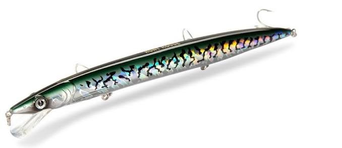 Darter and long minnow