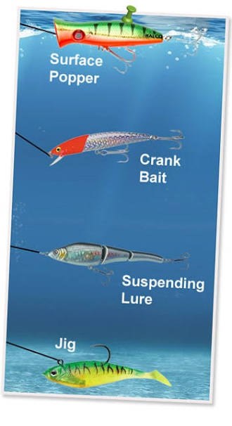 Chart showing where lures swim: popper on the surface, crankbait below, suspending lure mid-water, jig near the bottom