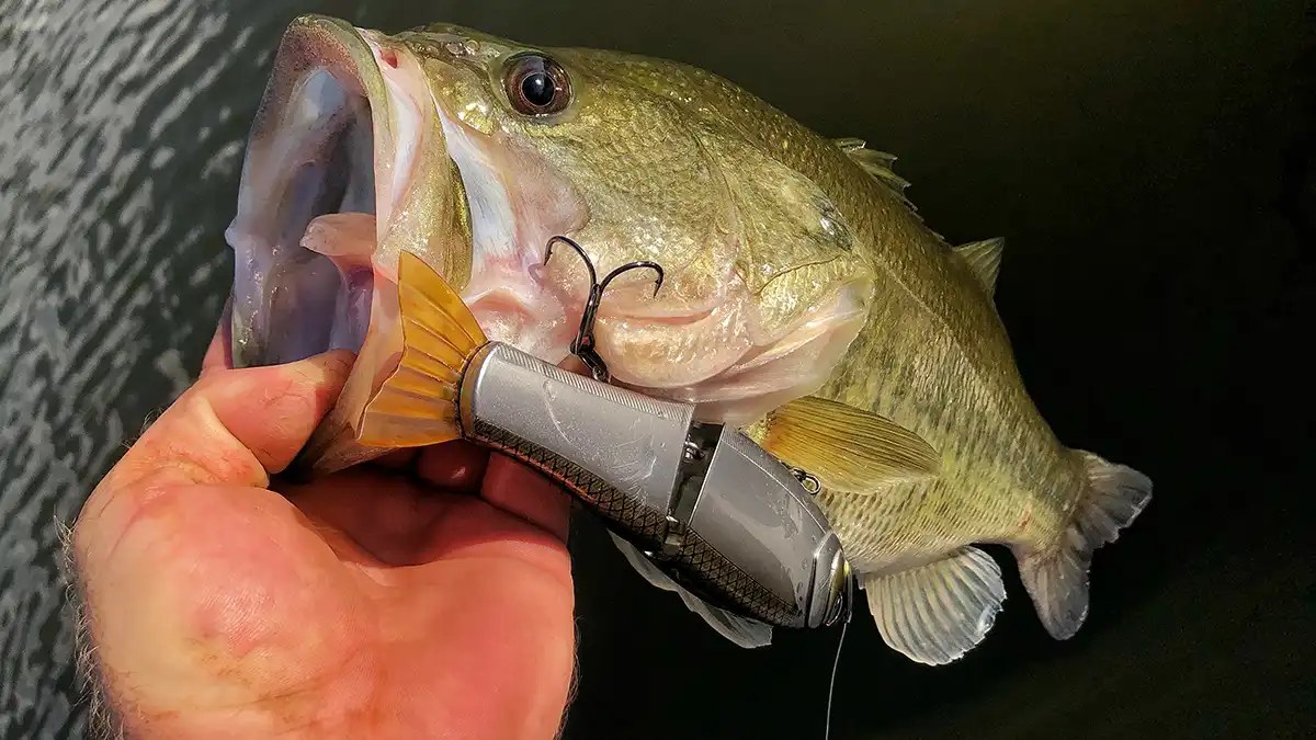 Glide bait / jointed swimbait
