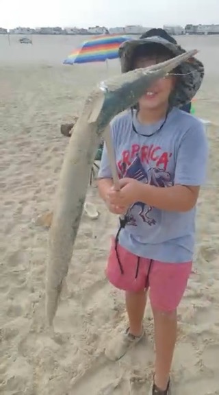 Needlefish from the shore. Every catch was a new species.