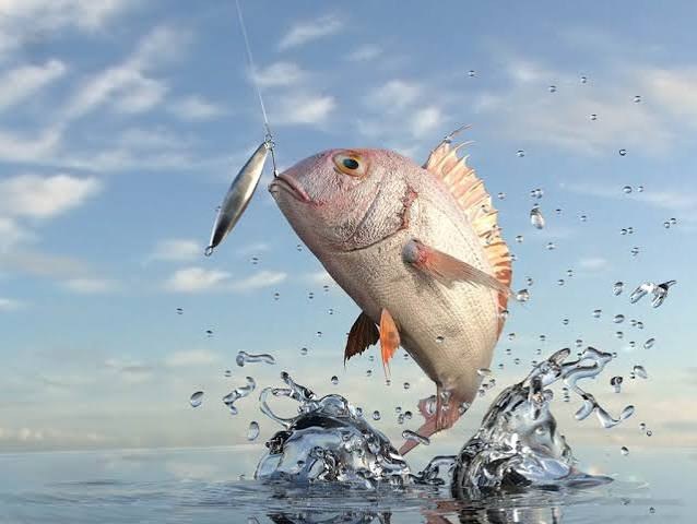 A spoon flashing in the light: the reason fish strike.